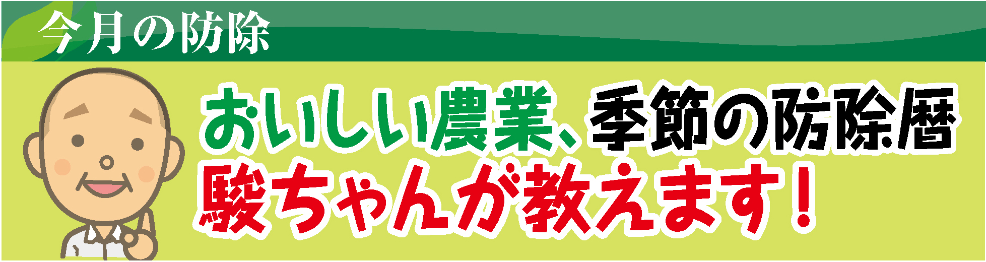 今月の防除 宮地薬品 高知県香南市 果樹 園芸用農薬 肥料の販売店