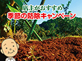 今月の防除の外観