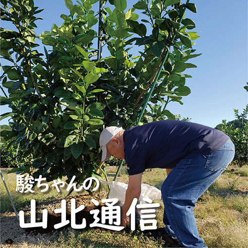 山北通信の写真(高知県香南市)